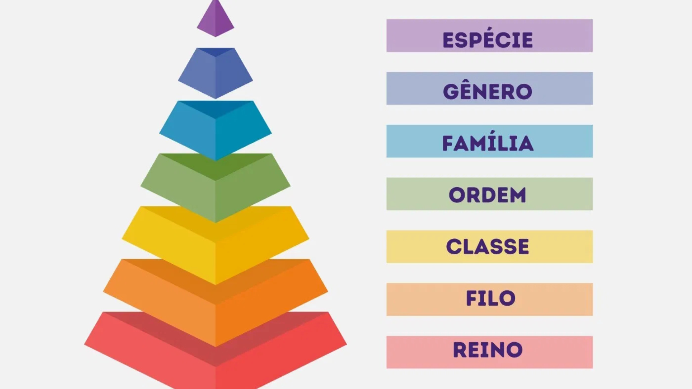 No momento, você está visualizando Classificação Científica dos Seres Vivos